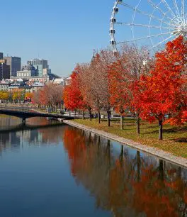 Quebec locations, Montreal skyline